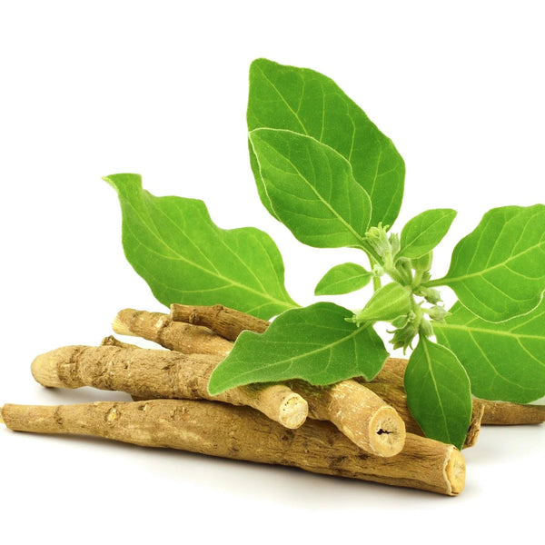 🌿 Ashwagandha